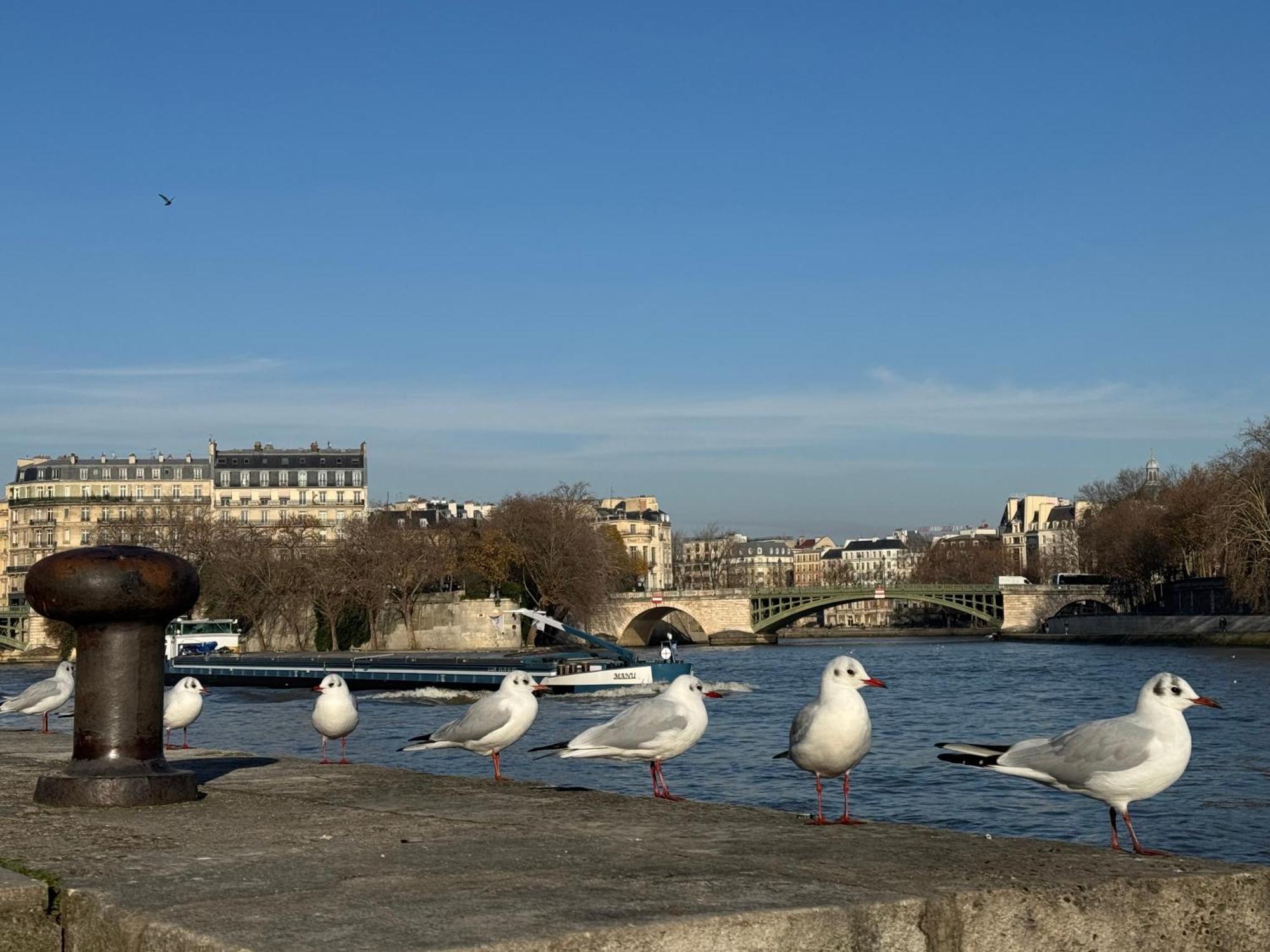 New Private Apartment Paris City Center - Les Arenes Pantheon Notre-Dame Jussieu Jardin Des Plantes Quai De Seine Extérieur photo